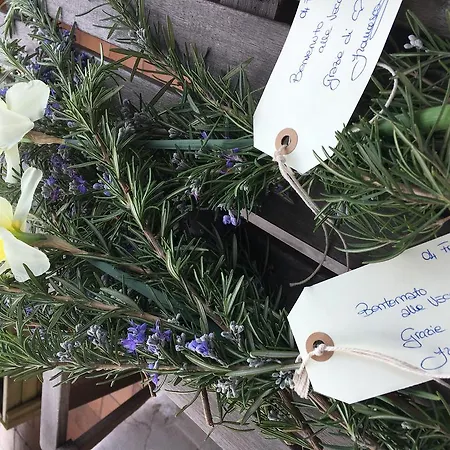 Casa Le Vecchie Mura Figline Valdarno
